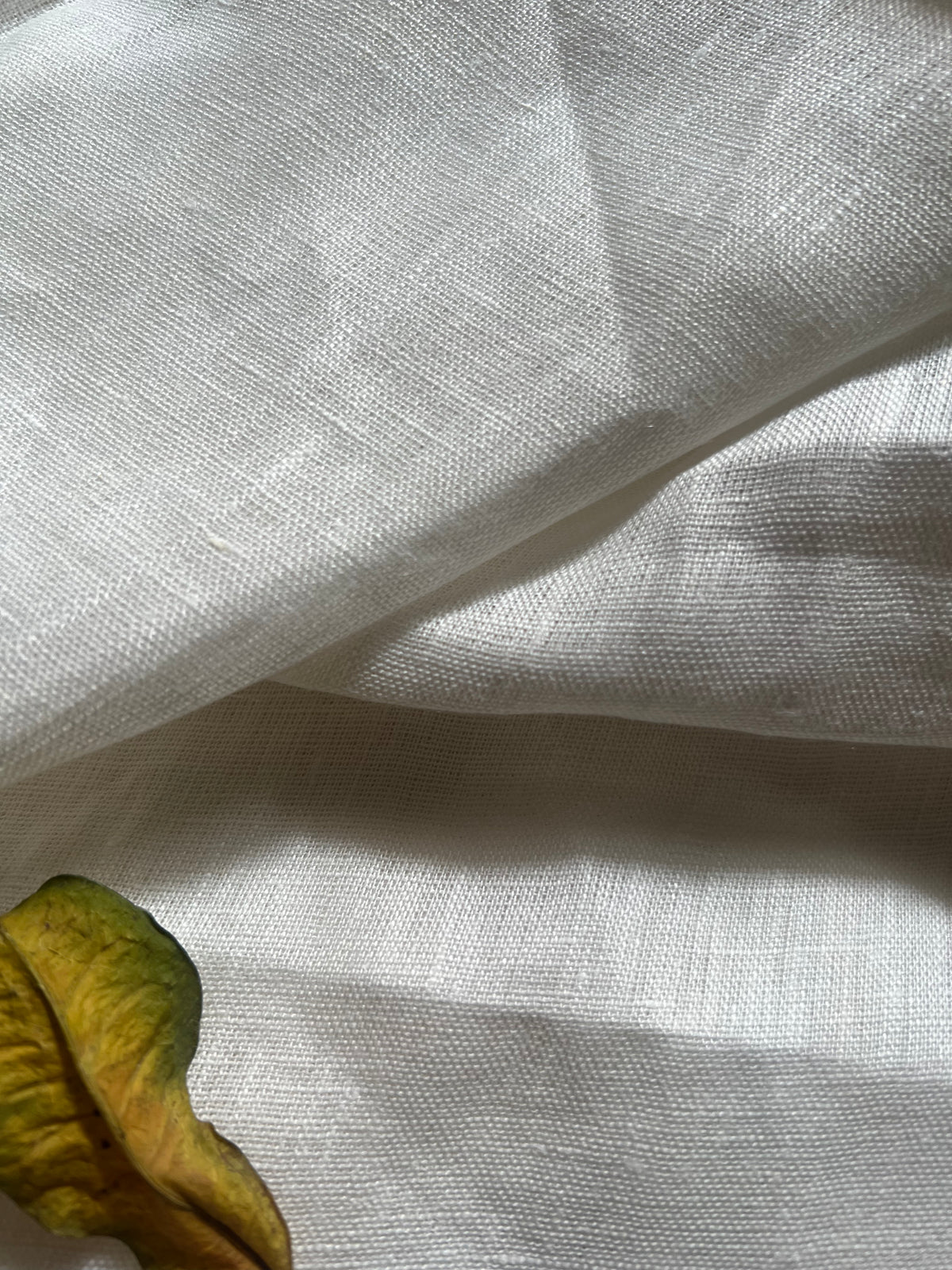 LINEN (Powerloom)